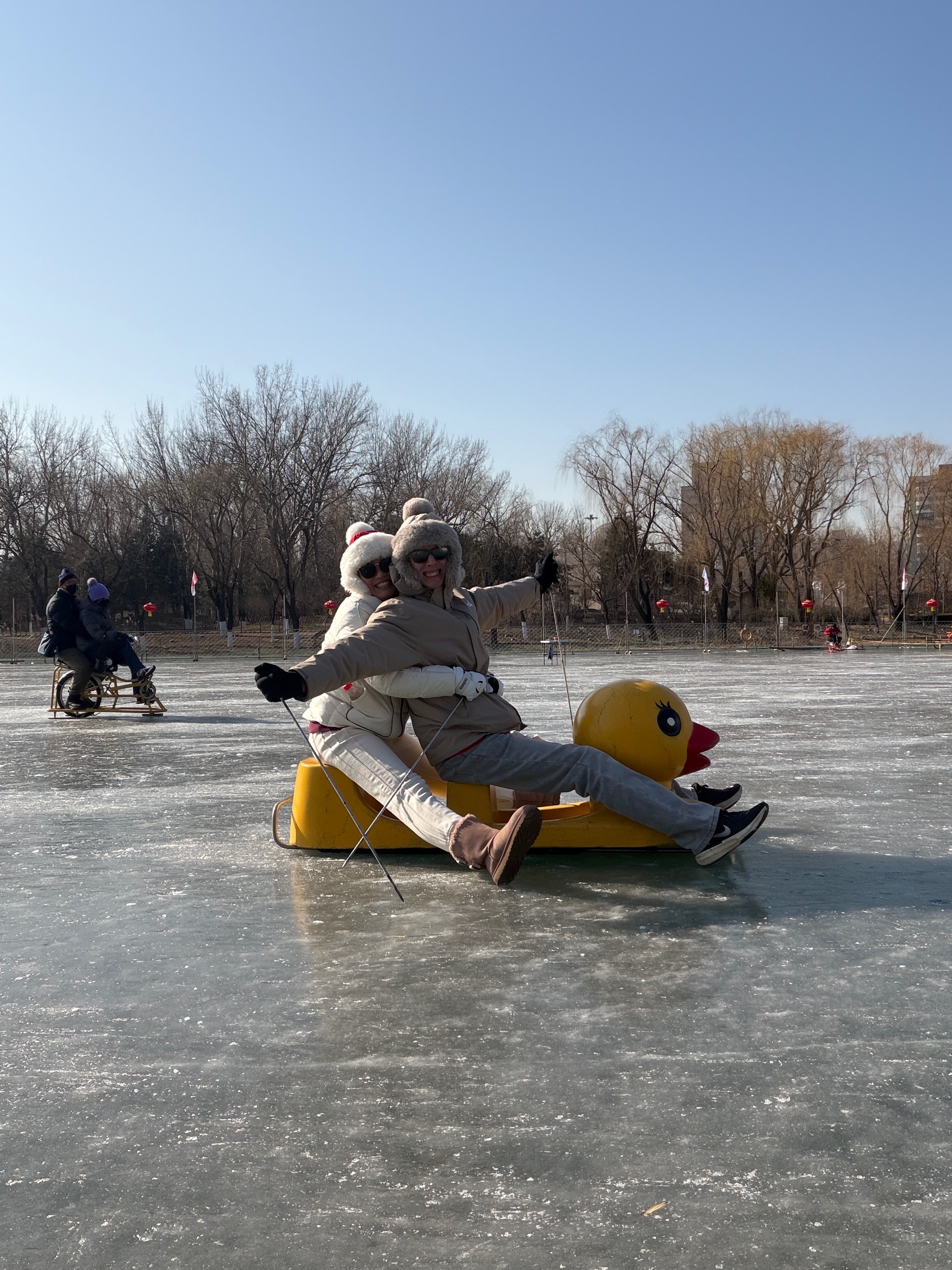 Duck sled on the ice